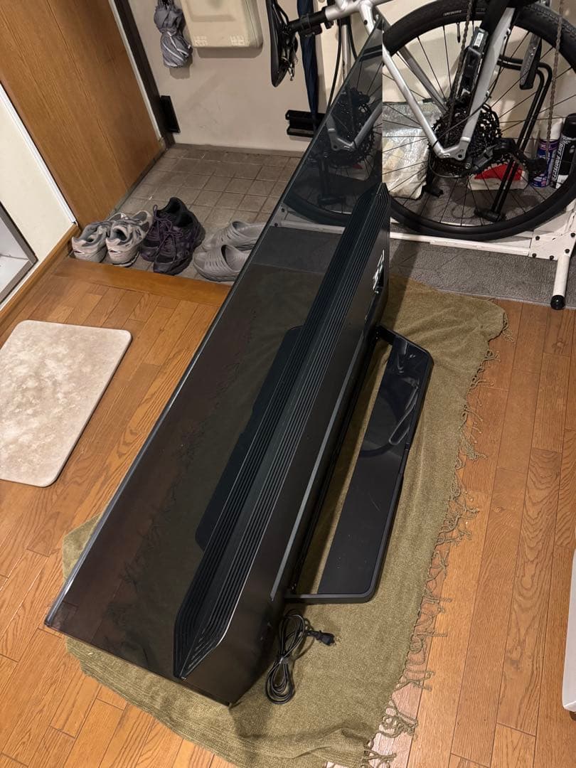 LG 有機EL 55 テレビ TV 本体 OLED55E9PJA プレミア