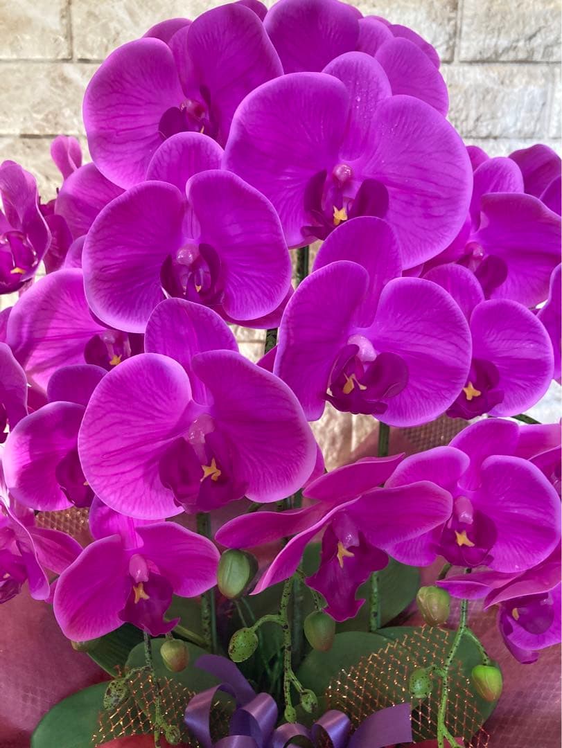 光触媒　人工観葉植物　ウォールグリーン　フェイクグリーン　胡蝶蘭リアル't