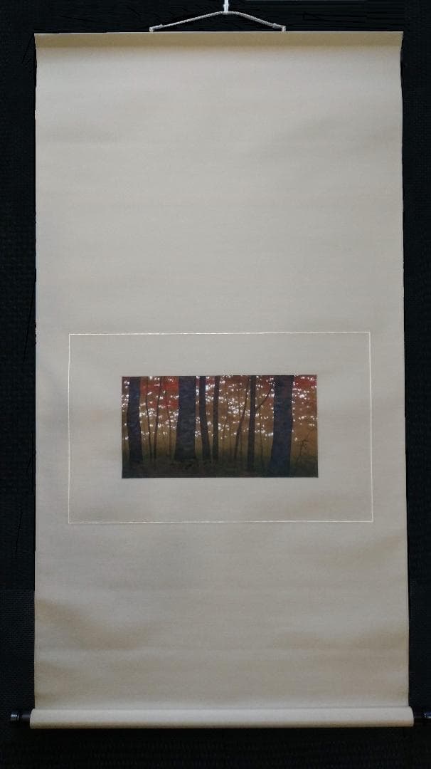 日本画 / 鎌田 義裕 / 【彩光】/ 掛け軸 / 共箱