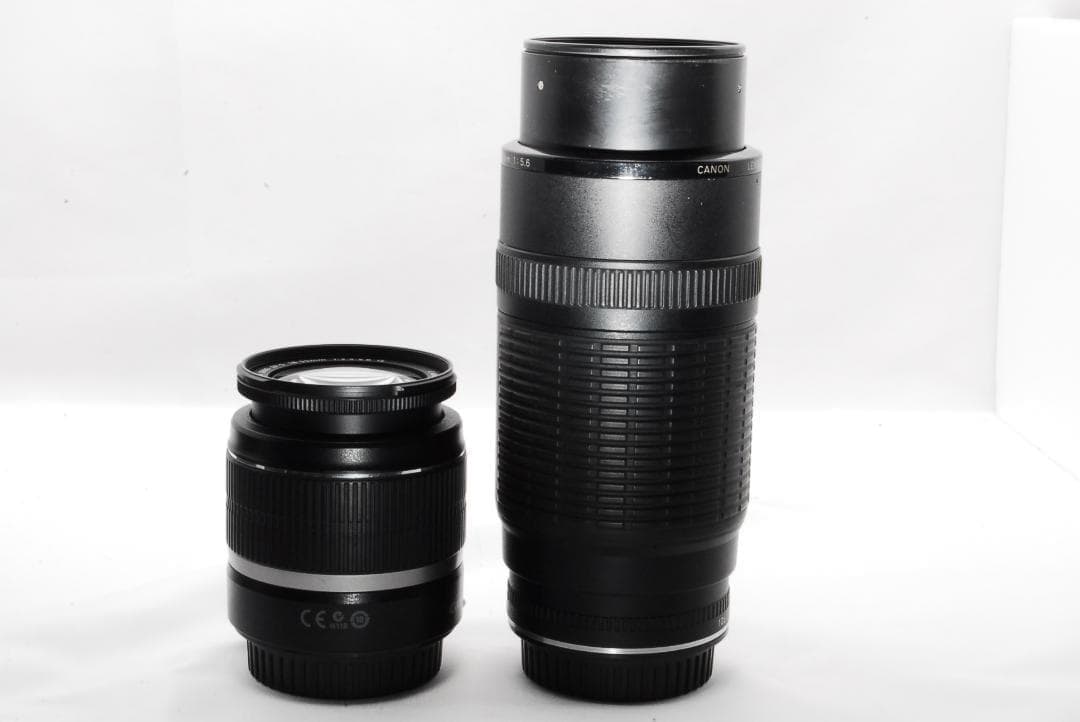 広角〜望遠まで◎憧れの一台Canon EOS Kiss X5ダブルレンズ