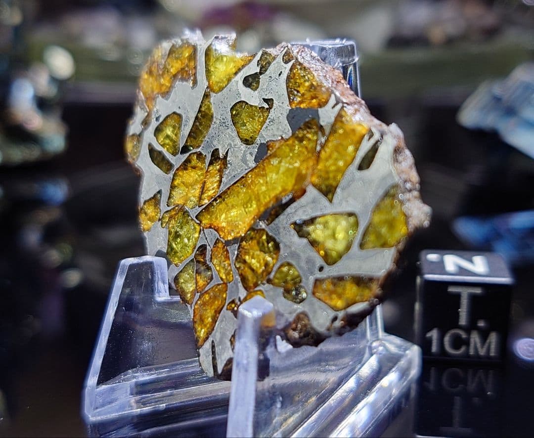 ⭐️11.3g イミラック パラサイト 隕石 Imilac