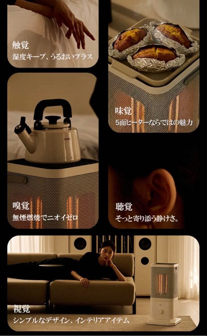 2025年　edir 5面カーボンヒーター