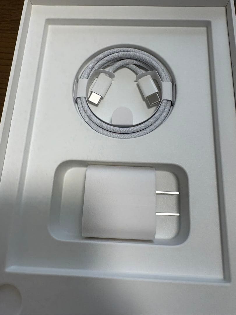 iPad mini 第７世代 256GB Cellula スターライト