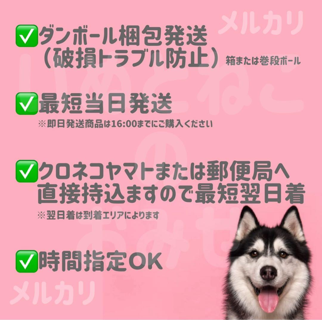 【10kg】セレクトバランス グレインフリー アダルトチキン ドッグフード
