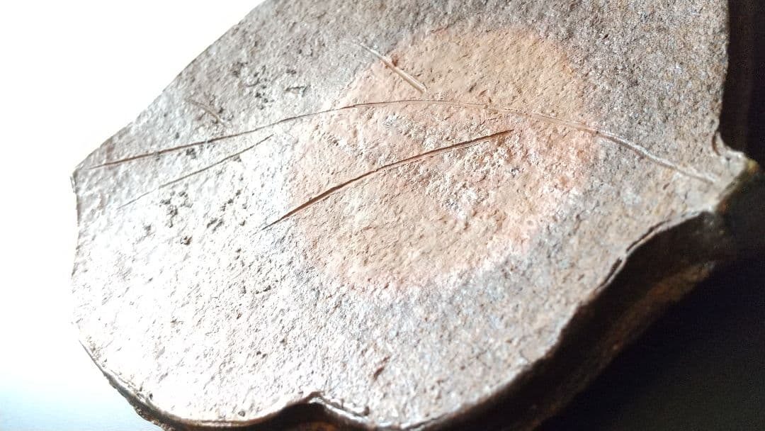 備前焼向付 ５客揃 (骨董 古美術 アンティーク 器 食器 会席 料理 茶道具