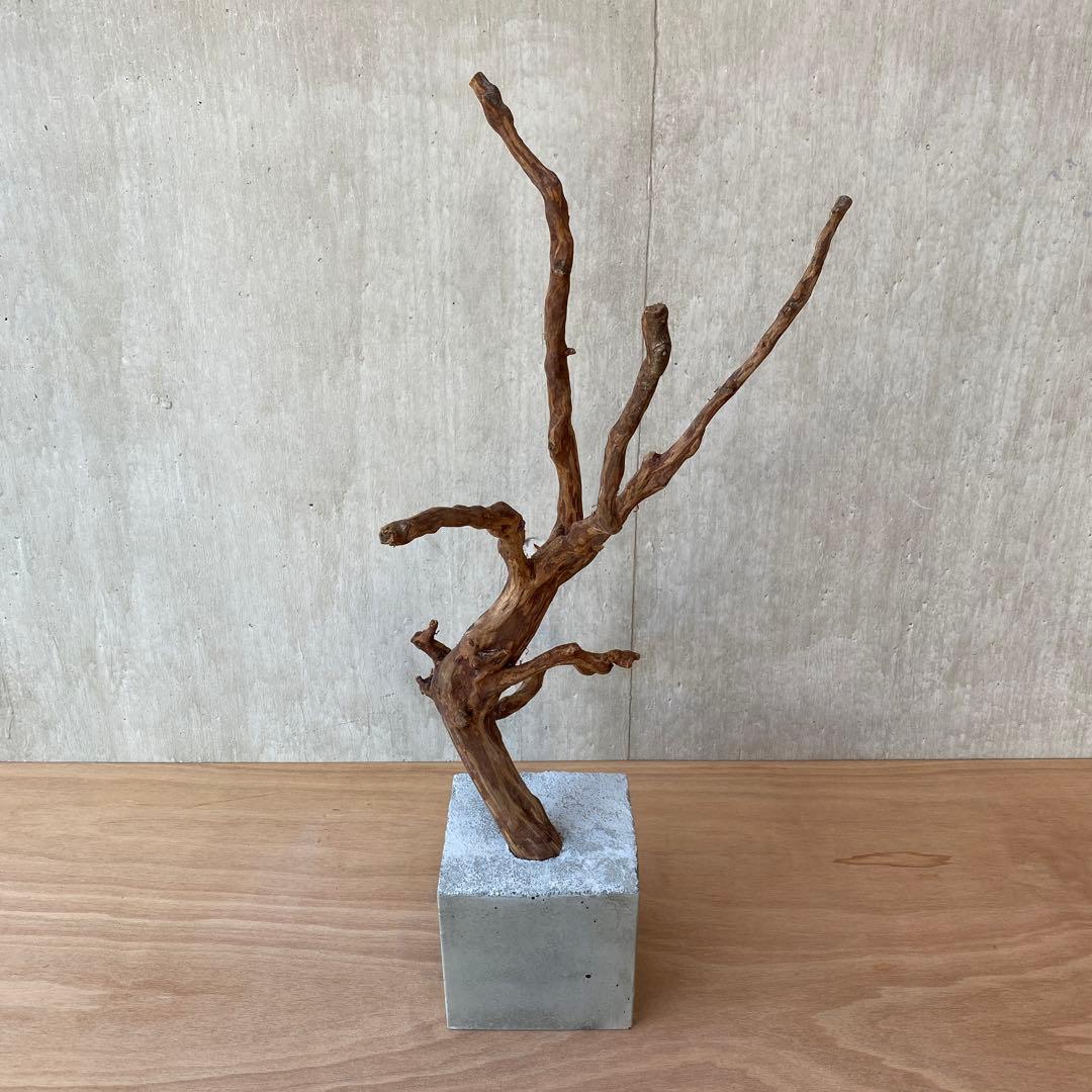 ❹【コンクリート盆栽 流木オブジェ】アクセサリー インテリア アート 爬虫類
