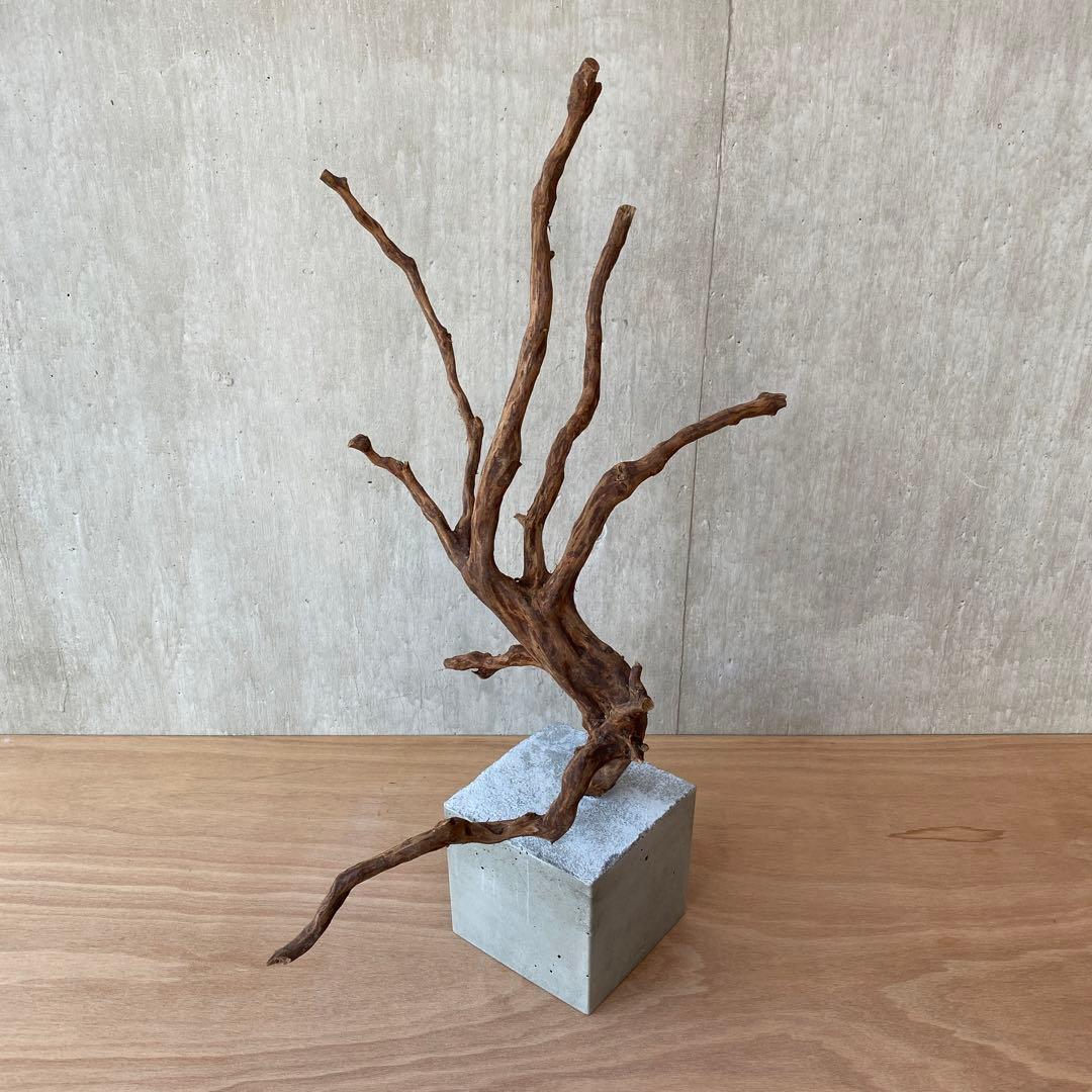 ❹【コンクリート盆栽 流木オブジェ】アクセサリー インテリア アート 爬虫類
