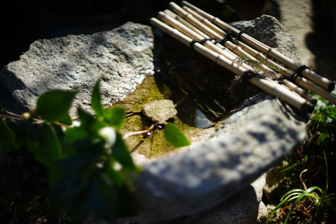 フィルムカメラ Nikon F2S / Nikkor-S Auto 50mm f1.4