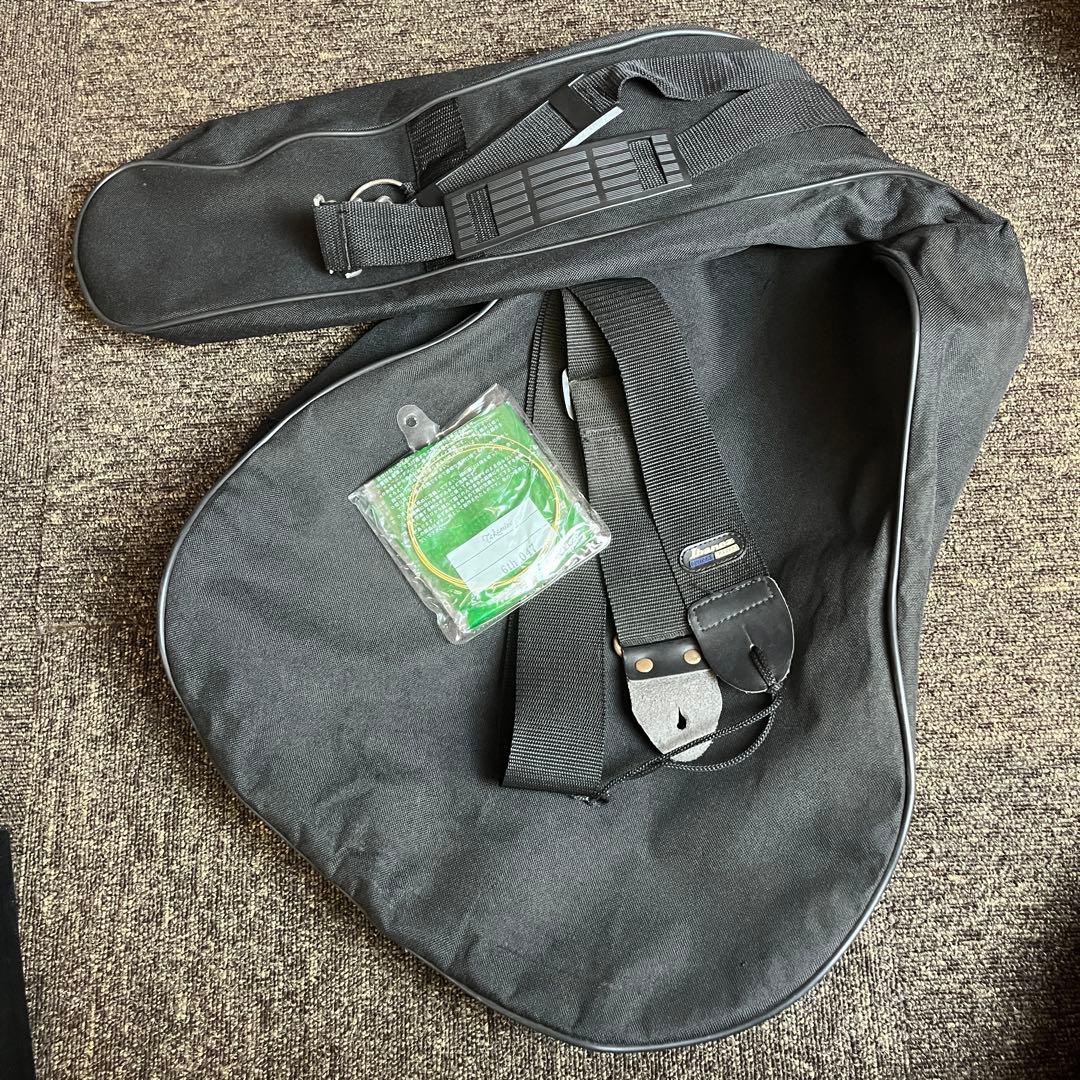 タカミネ アコースティックギター T−F0TBS ソフトケース付き アコギ