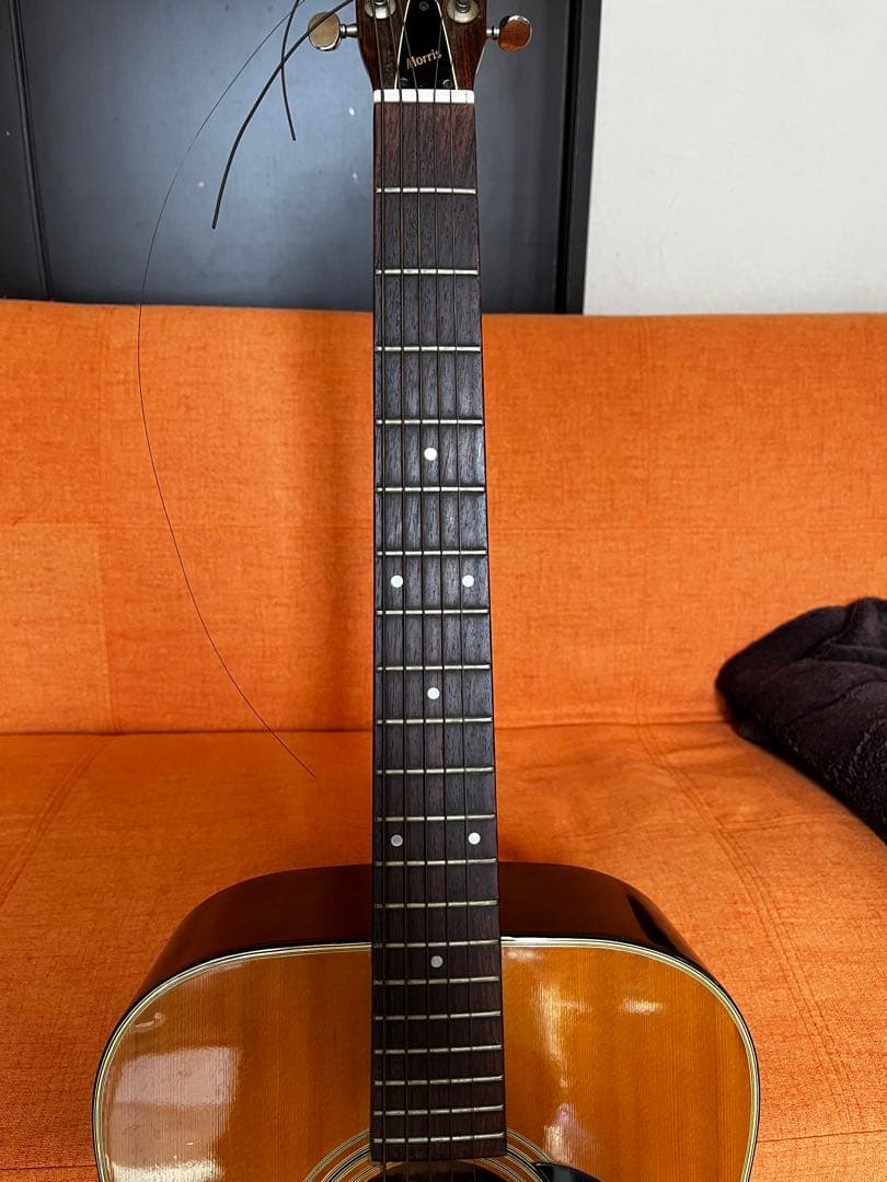 モーリス　フォークギター　W-15