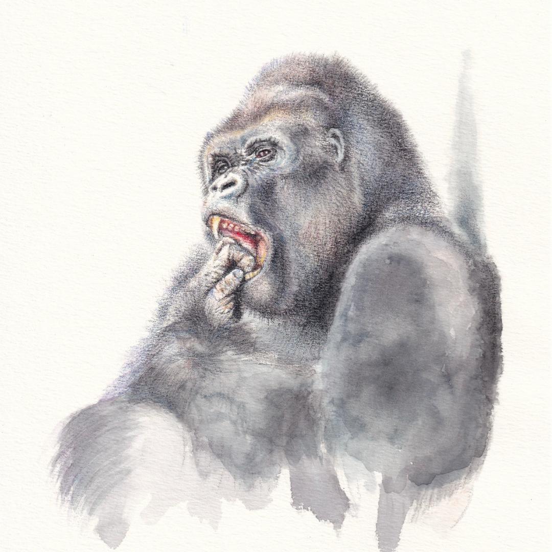 ブロッコリー様 ご依頼作品 インドサイの絵