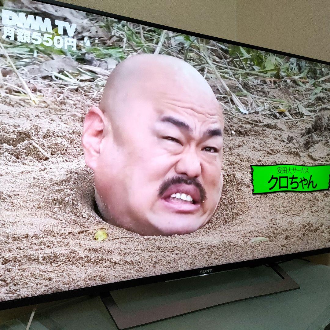 SONY[2016年製品]KJ-49X8300D