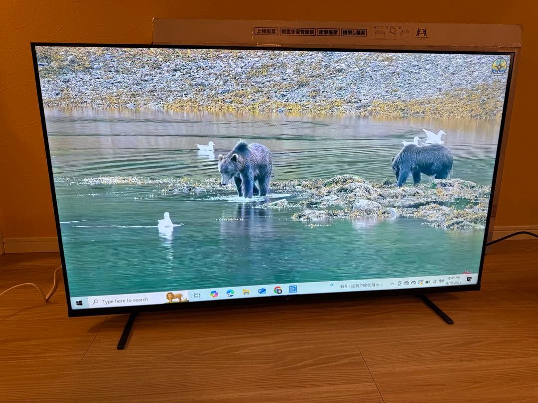 極美品　Google TV 50V型 4K チューナーレステレビ 2024年製