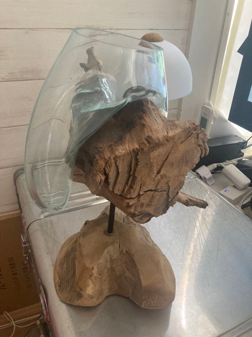 新品未使用　流木　アジアン　水槽　　バリ　西海岸　花瓶　KAJA 　シャビー