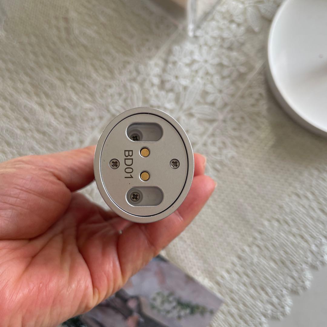 SALONIA 美顔器 シルバー