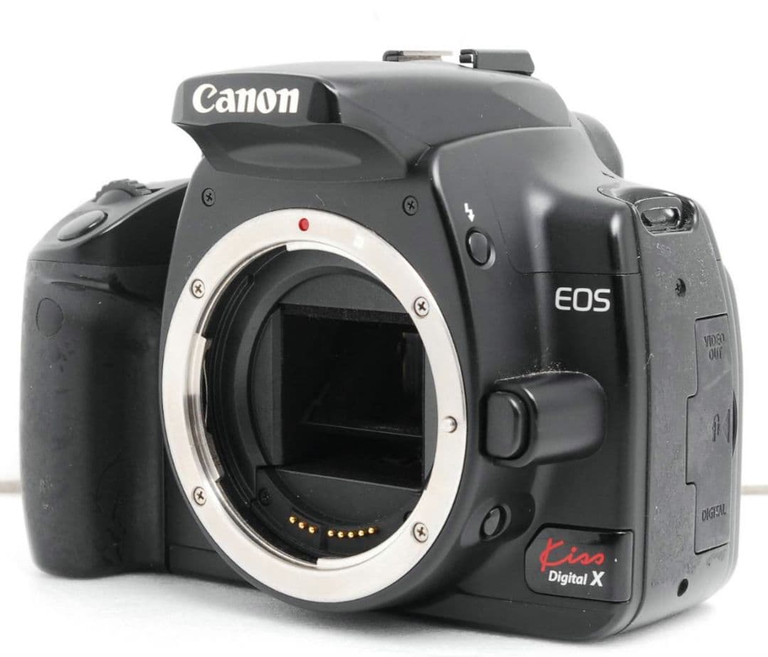 CANON　EOS　KissX　超望遠おまけレンズ　初心者　キャノン　手ブレ