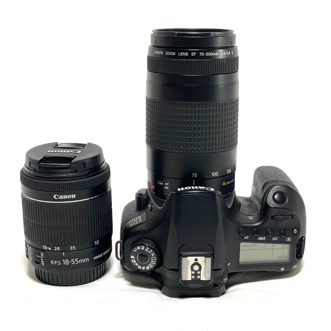 表現力を高めたい人へ❣️ Canon EOS 60D 超望遠ダブルレンズセット✨