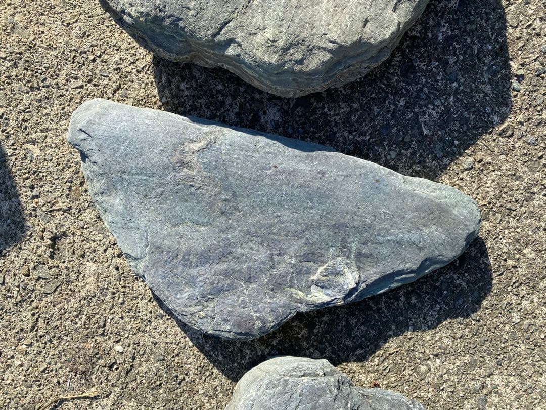 阿波の青石 飛び石 ７枚 庭石 希少