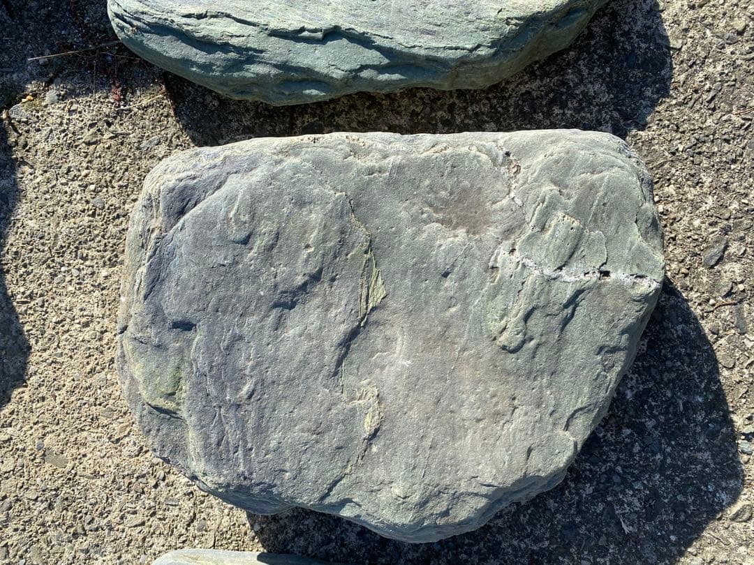 阿波の青石 飛び石 ７枚 庭石 希少