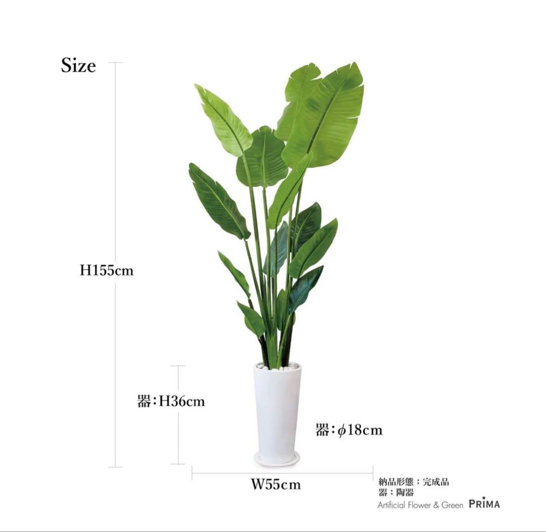 【美品】ストレリチア スリムプランター プリマ 観葉植物 フェイクグリーン