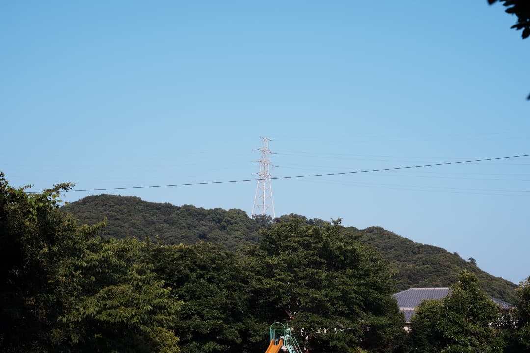 【極美品】Carl Zeiss Planar 50mm F1.4 AEJ 386