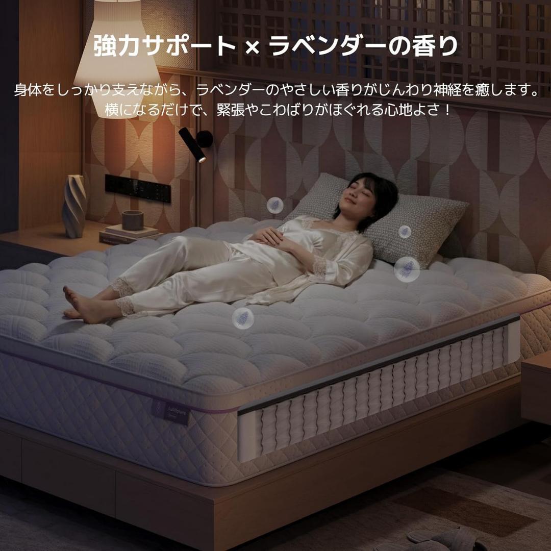 【R1824-74-169】ラベンダー香る高反発26cmポケットコイル