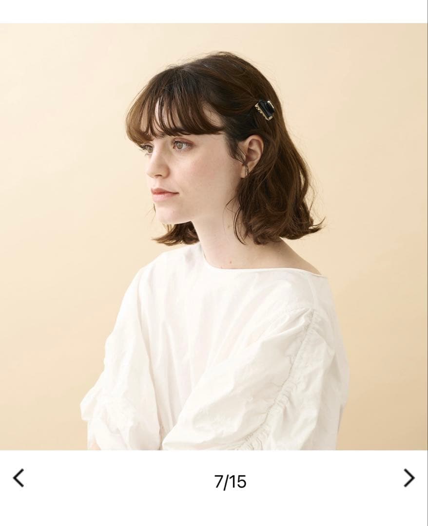 新品未使用限定品ALEXANDRE DE PARIS ヘアクリップ&バレッタ