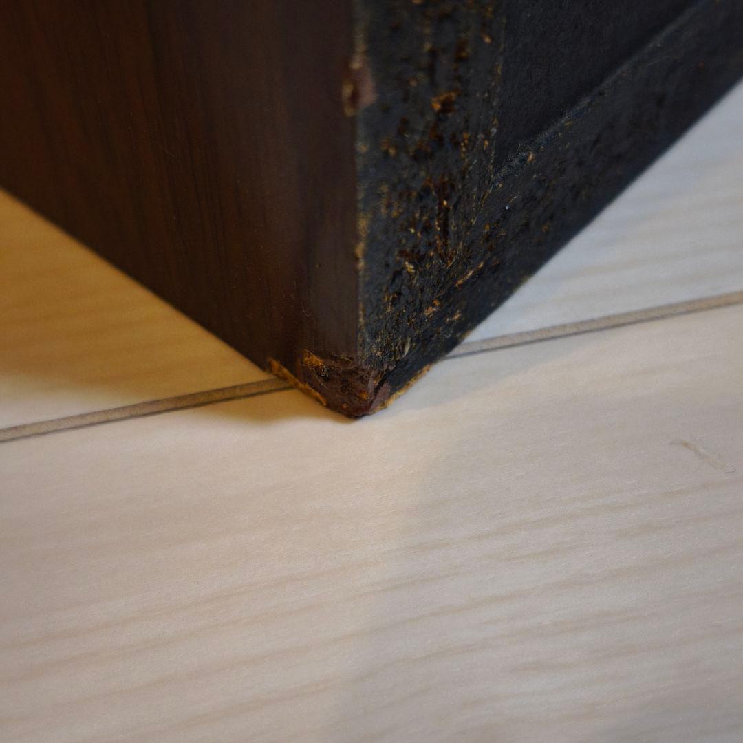 DIATONE DS-G20 ユニット ＋ DS-300V エンクロージャー