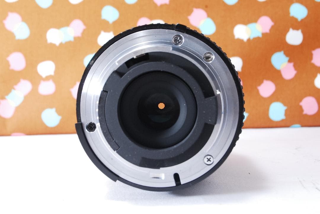 ✨お安くデビュー✨ショット数1071回✨Nikon D70 レンズセット