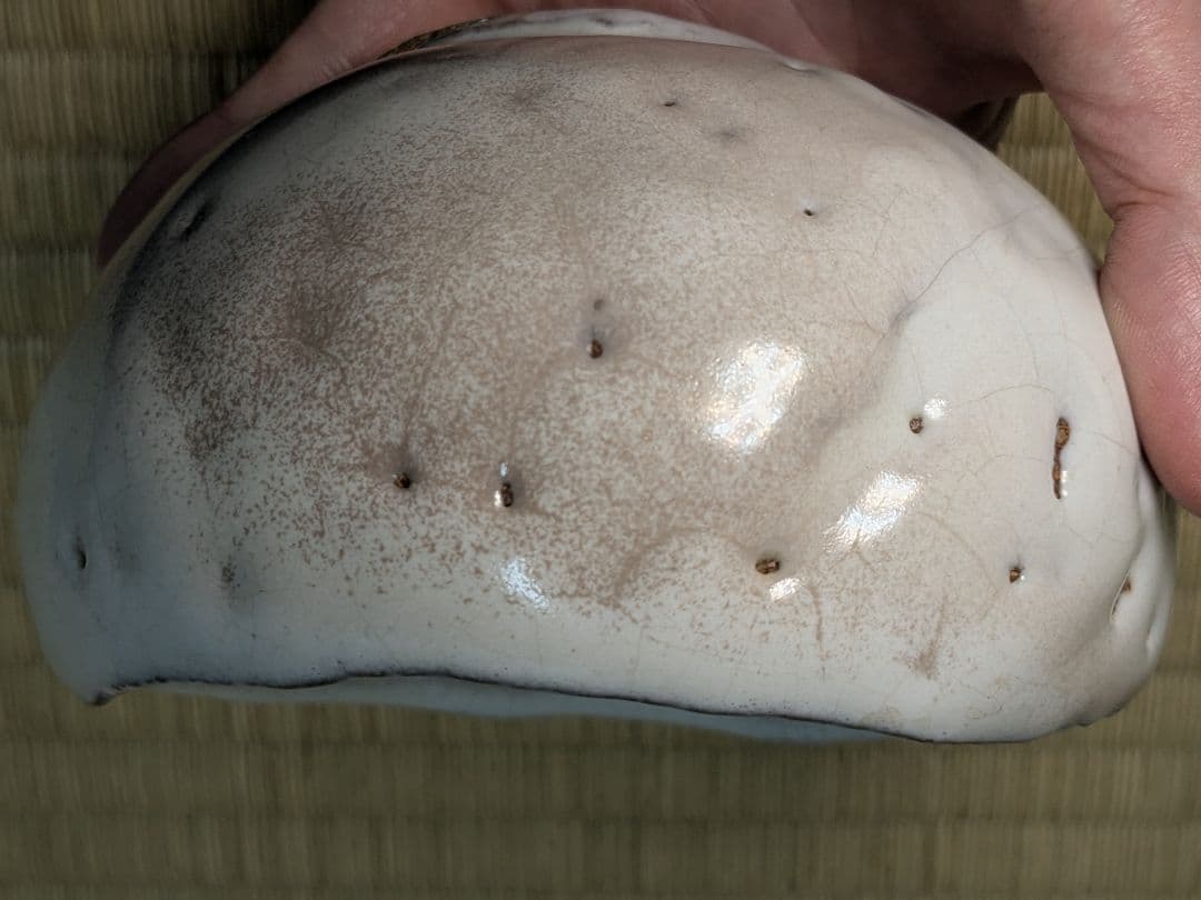 【人気作】【完品】萩刳貫茶碗　兼田昌尚　萩焼　天龍窯