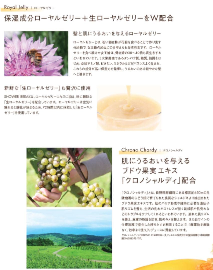 【新品セット】POLA シャワーブレイク シャンプー&コンディショナー10L