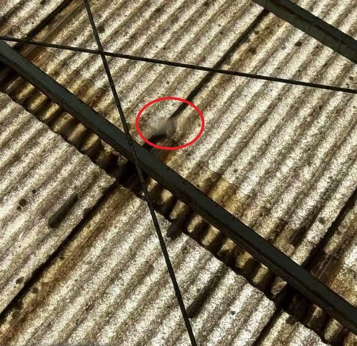 【中古】ダンスミラー 割れない鏡 幅100x160cm 姿見 白色 7番