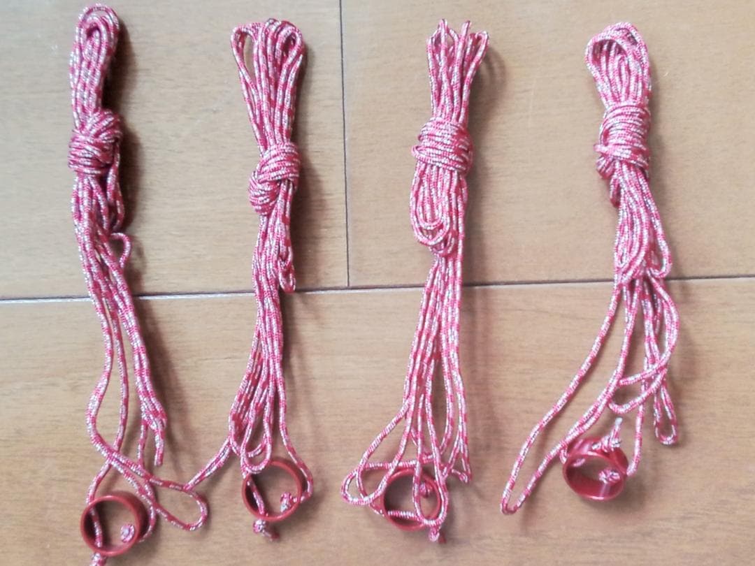 MSR フリーライト2（37009） 他