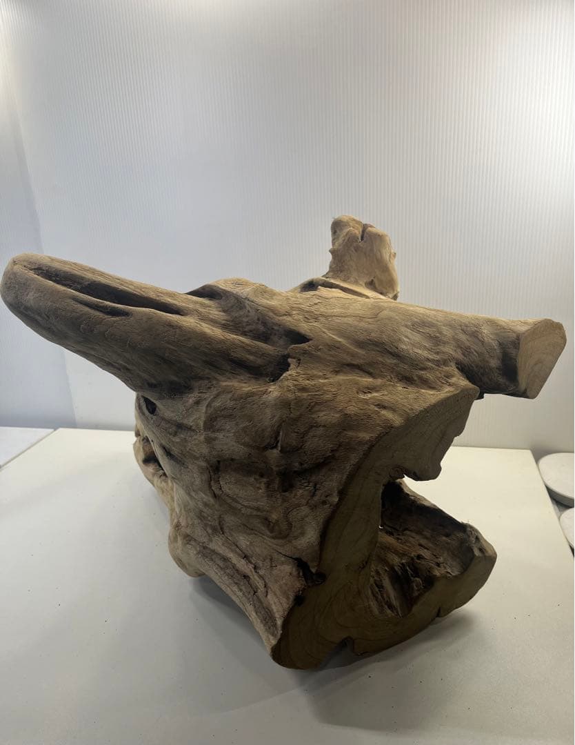 R79アク抜き済み流木 爬虫類シェルター 登り木 インテリア 生け花