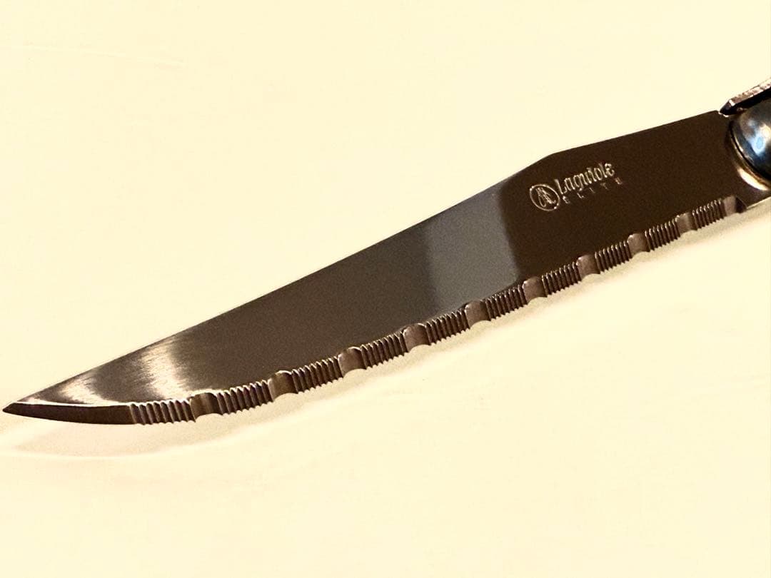 uji　Laguiiole eliteカトラリーセット24本シルバー刻印入