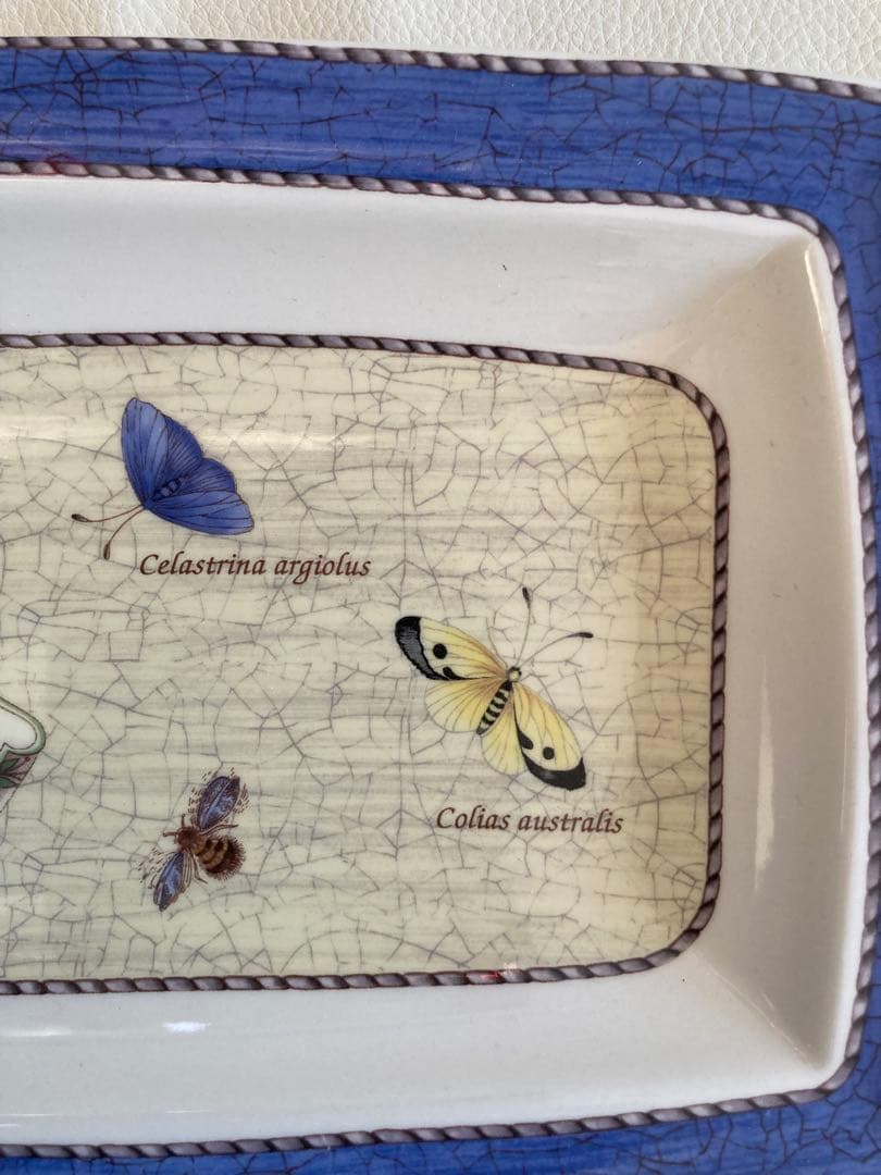 SARAH’S GARDEN 長皿&ケーキ皿　デザート皿フルーツ皿5枚セット