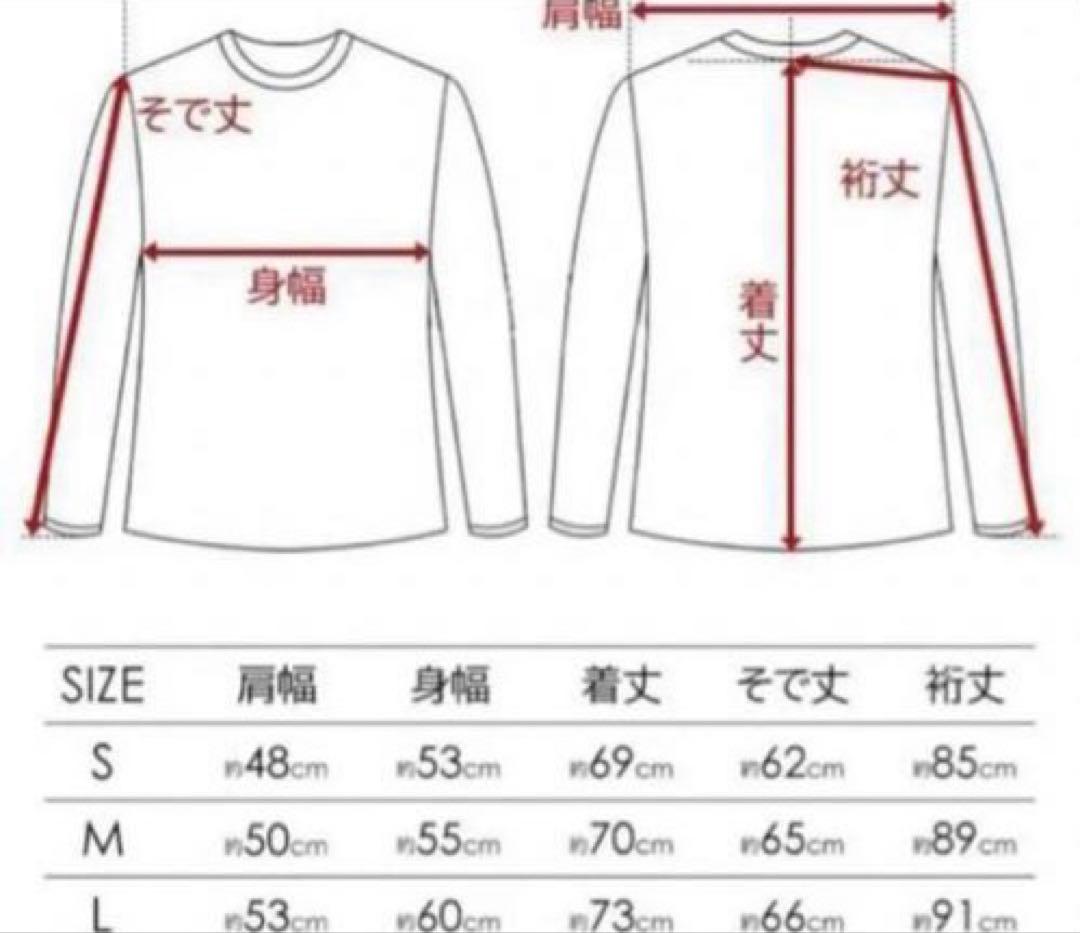 激レア廃盤モデルアークテリクス アトムAR フーディーAtom AR hoody