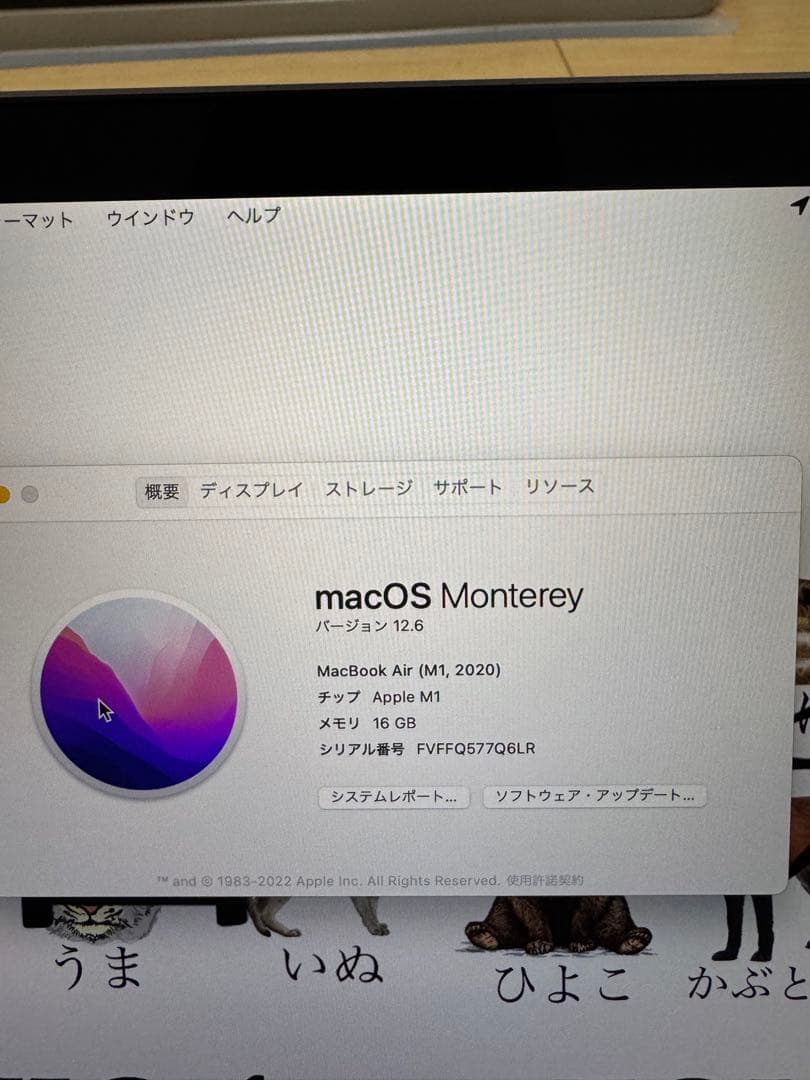 割引中　【美品】Apple MacBook M1 メモリ16