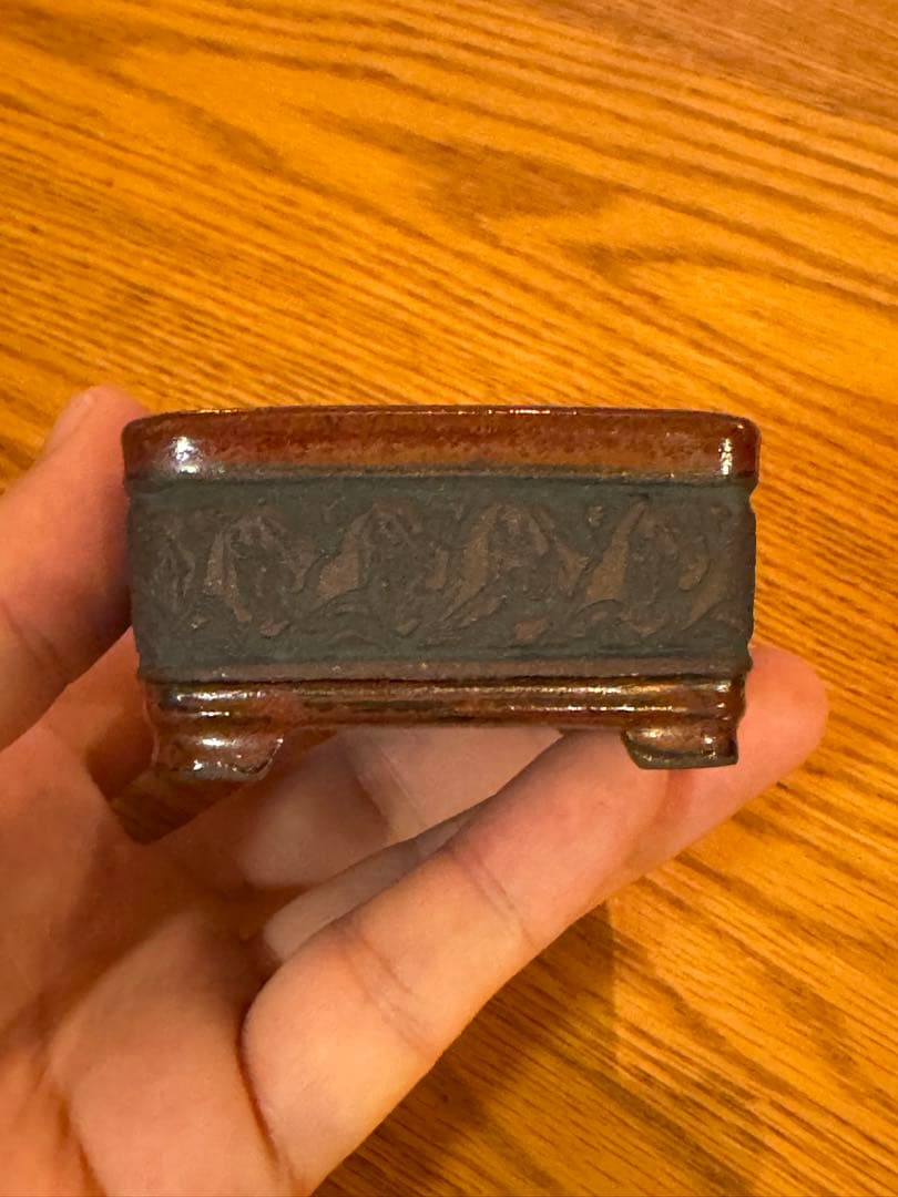 是心　鉢　盆栽