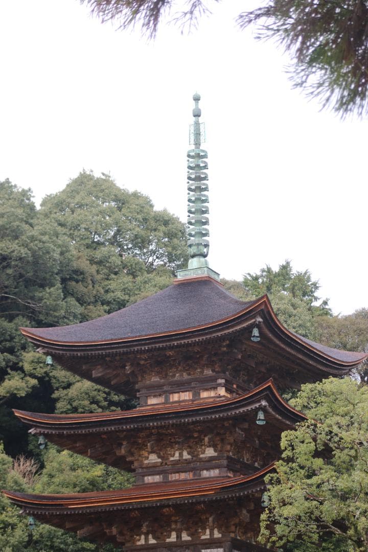 初心者セット❣️ Canon EOS 70D 超望遠Wレンズキット すぐ使える✨