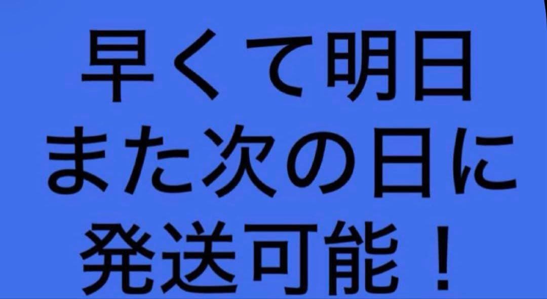 呪術廻戦 伏黒恵 ワイヤレスイヤホン