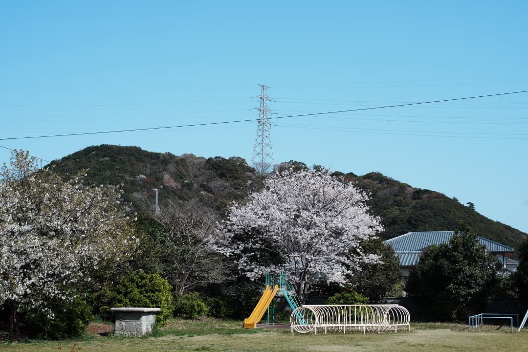 【極美品】Carl Zeiss Planar 50mm F1.4 AEJ 466