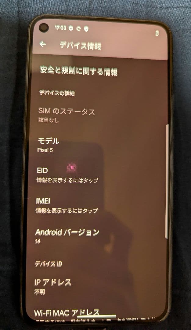 Googlepixel5 本体