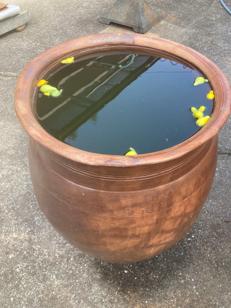 訳あり。大瓶。水瓶 睡蓮鉢。高さ66cm 。口径43cm。 明るい常滑焼風。