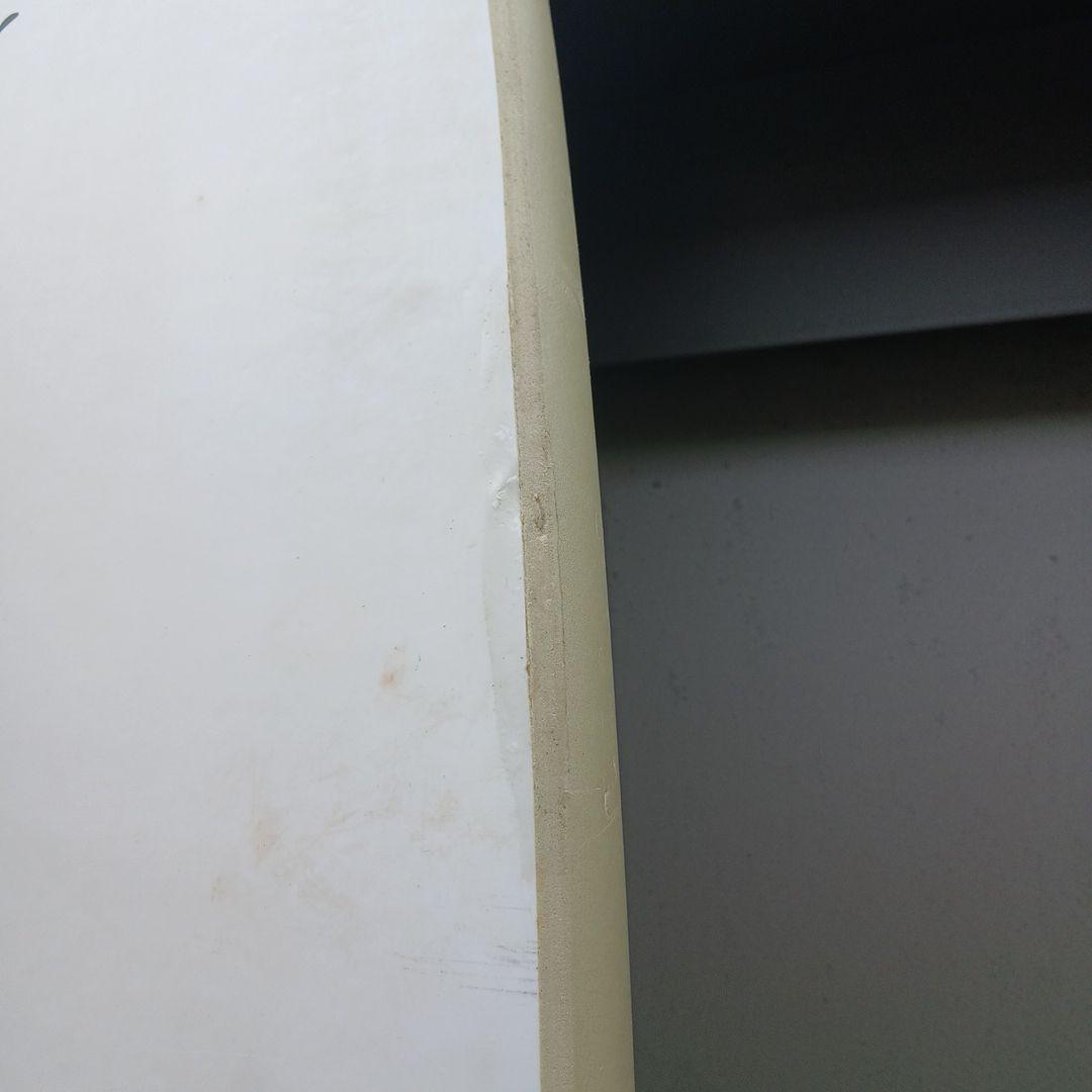 ロングボードミックファニングMiCソフトボード８f　FCSⅡソフトフィン３本付き