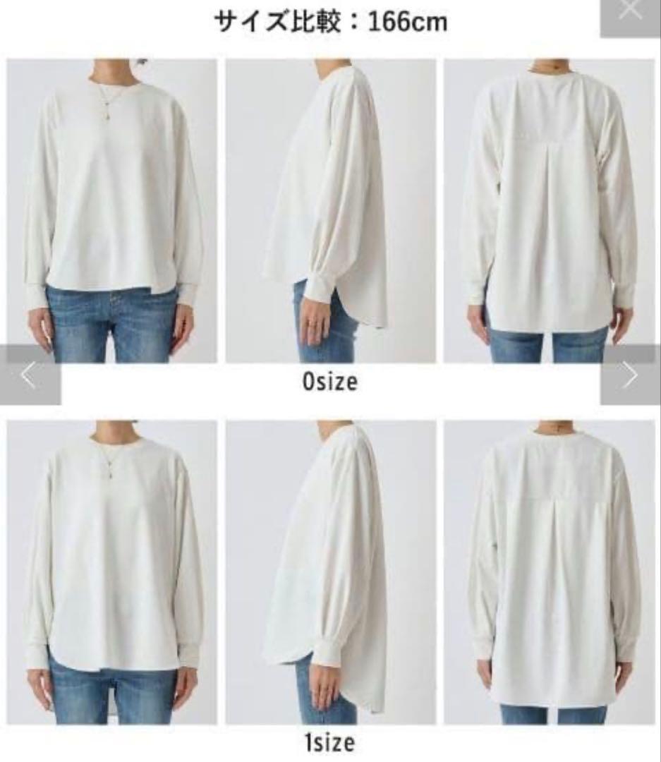 BEARDSLEY ビアズリー 白 Tブラウス サイズF トップス ブラウス