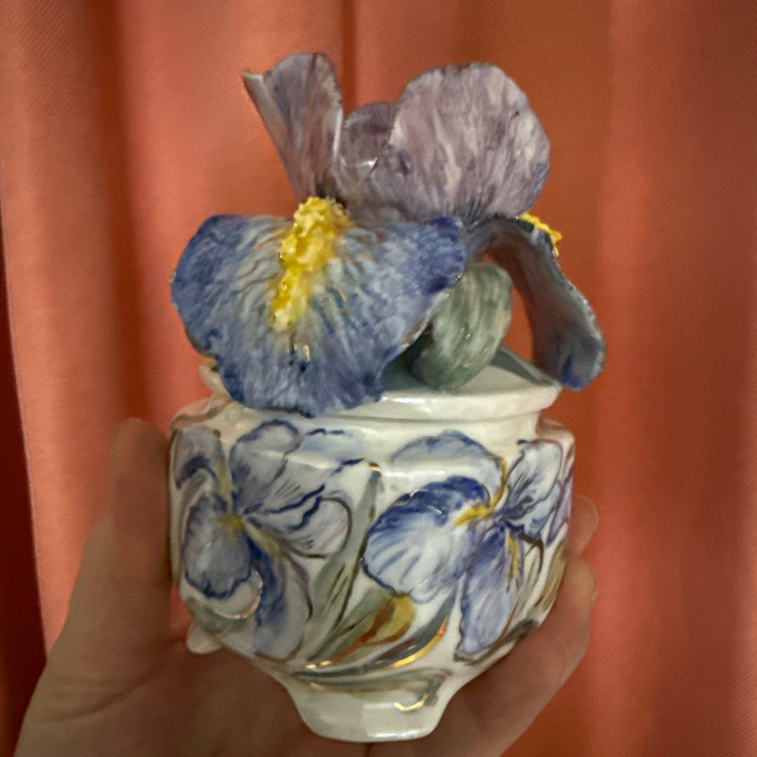 アイリスボックス . 新しいコレクション