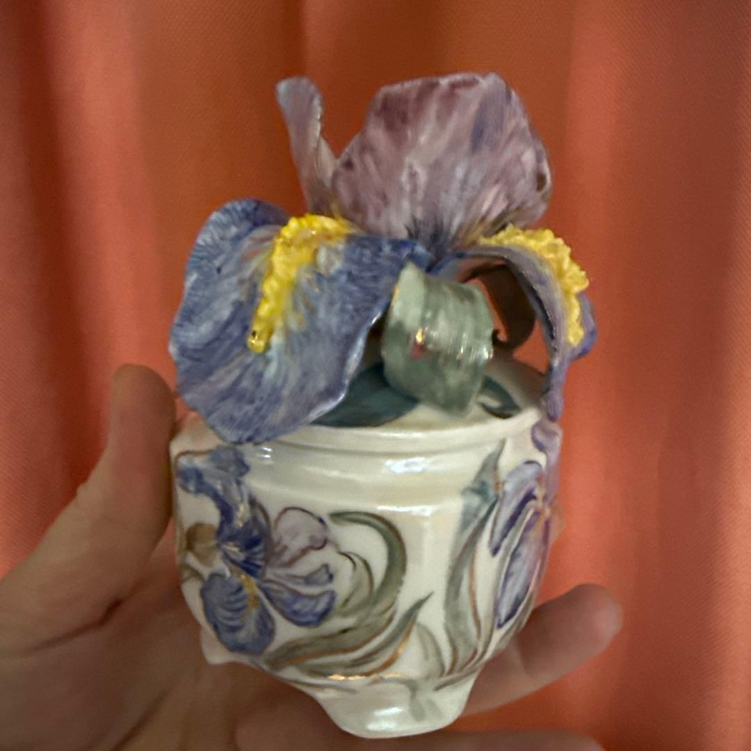 アイリスボックス . 新しいコレクション