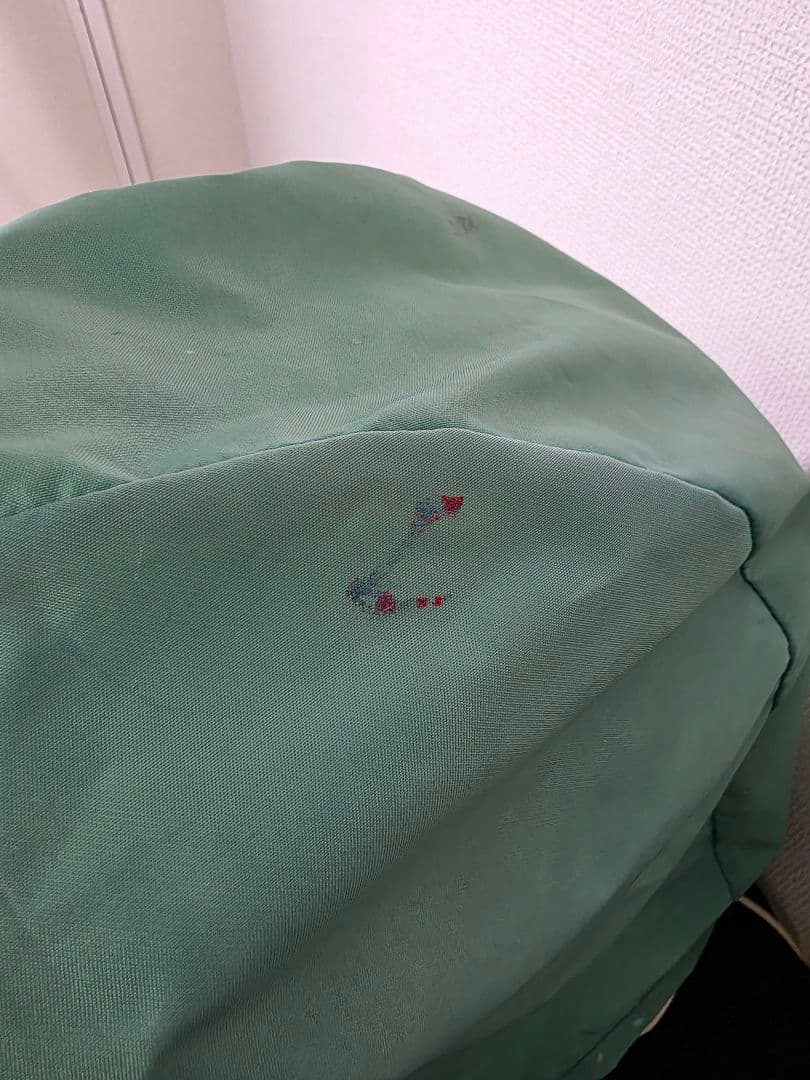 バイオプトロンプロ1 bioptron Pro1　美顔器