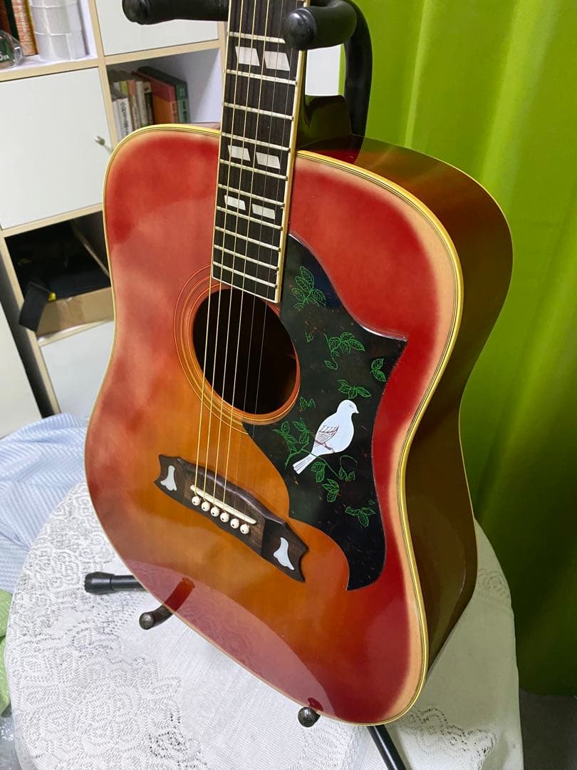 カントリーしようぜ！モーリス DOVE エレアコ 音出し良好　アコギもOK！